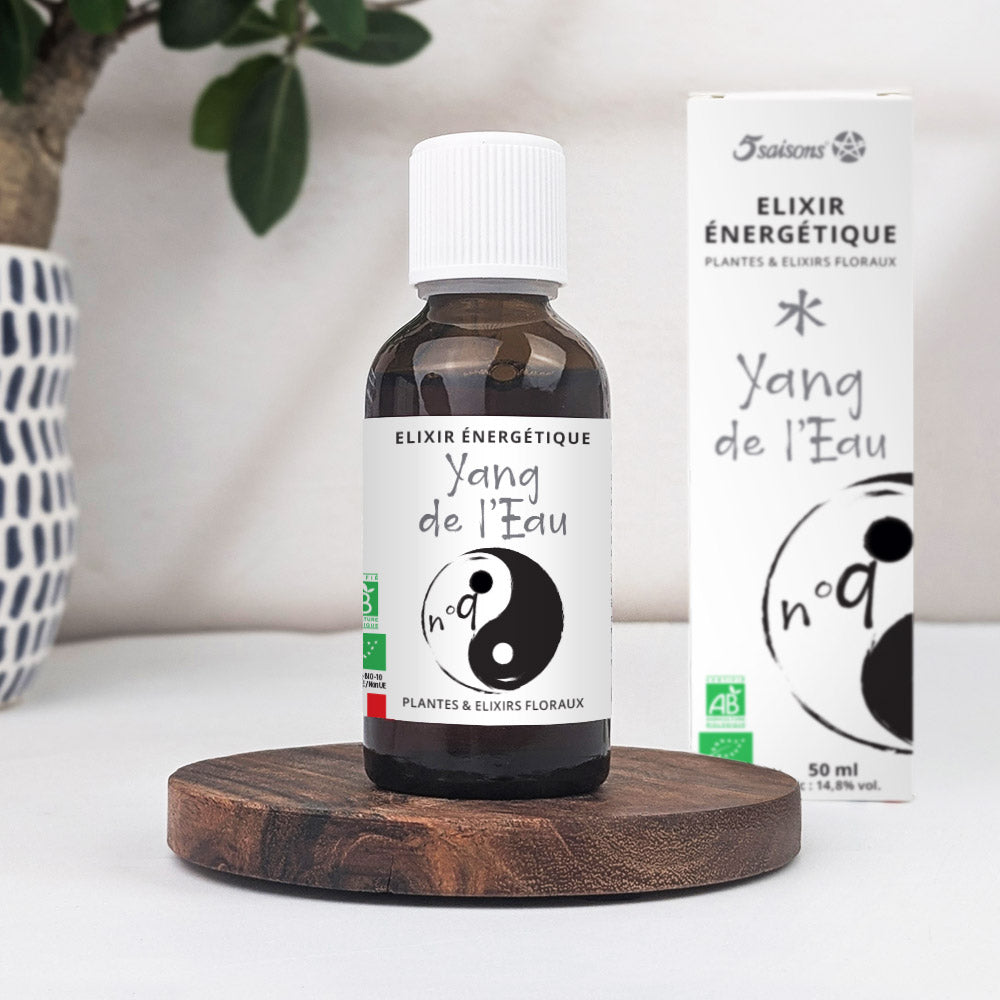 Elixir énergétique Yang du l'eau