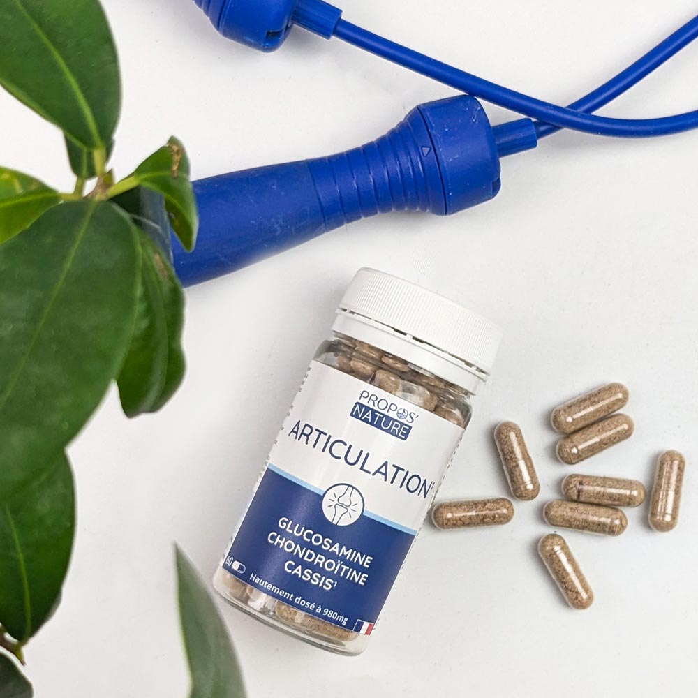 Articulation Glucosamine Chondroïtine
