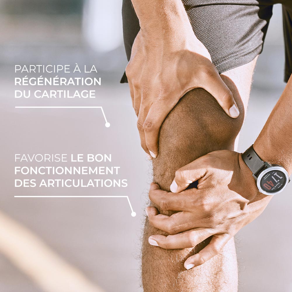 Articulation Glucosamine Chondroïtine