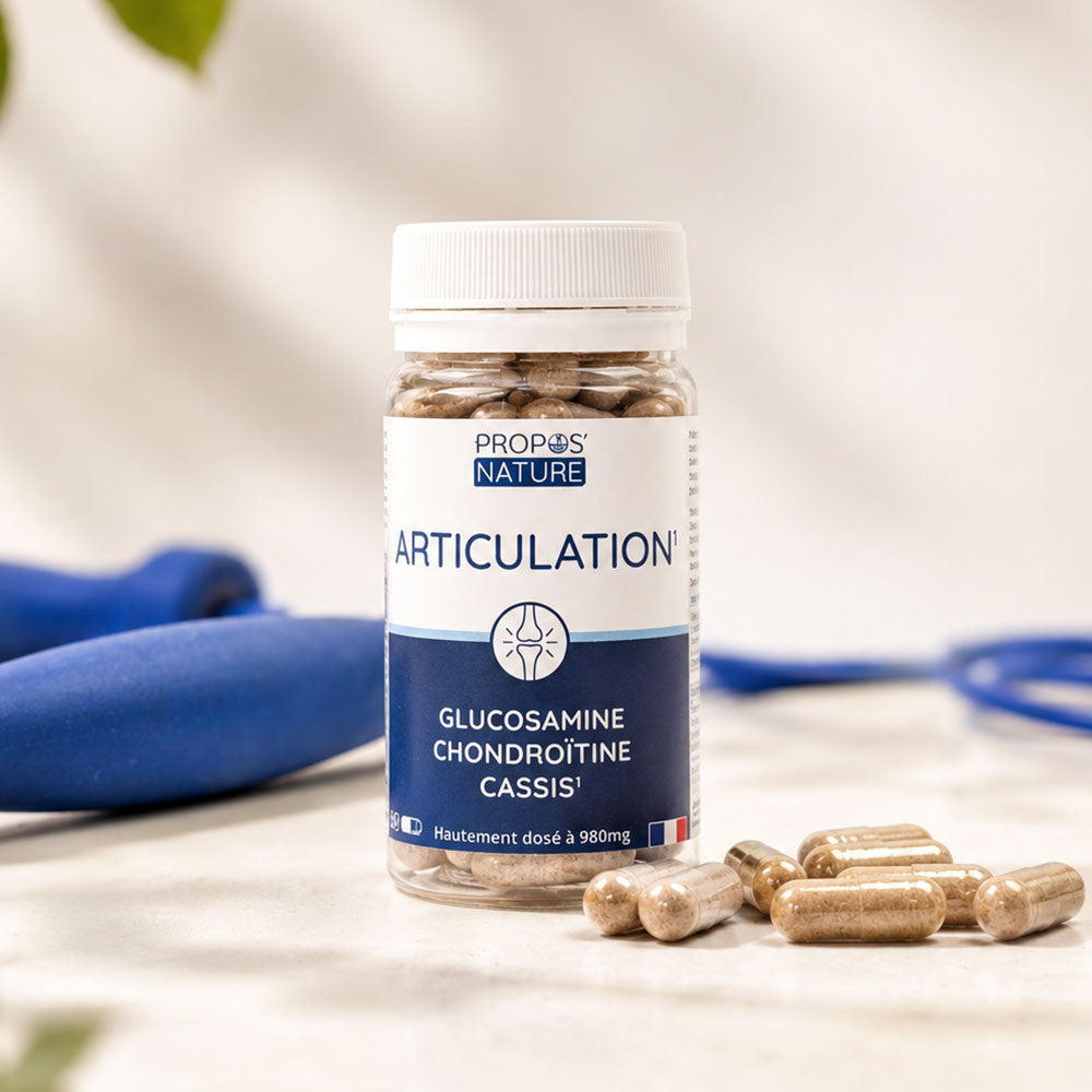 Articulation - Glucosamine Chondroitine Cassis