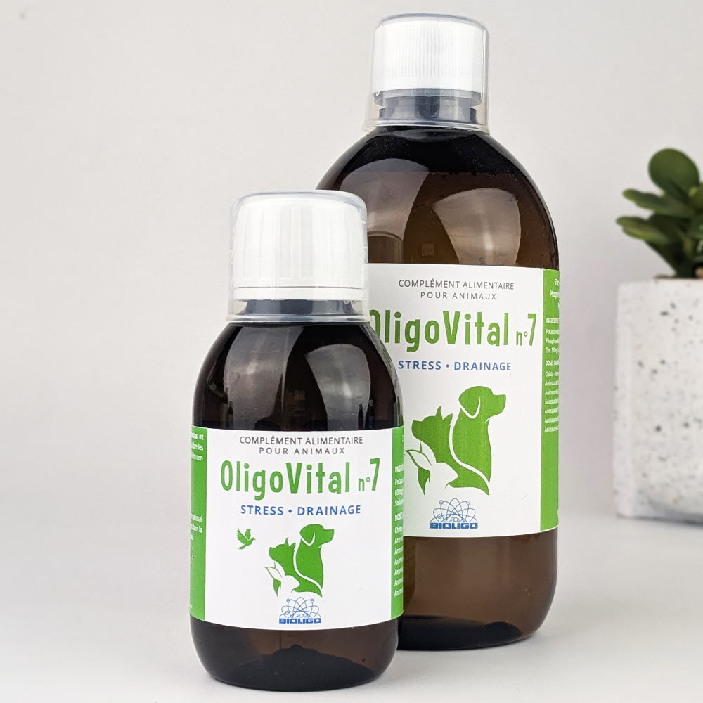 Oligovital complément alimentaire vétérinaire