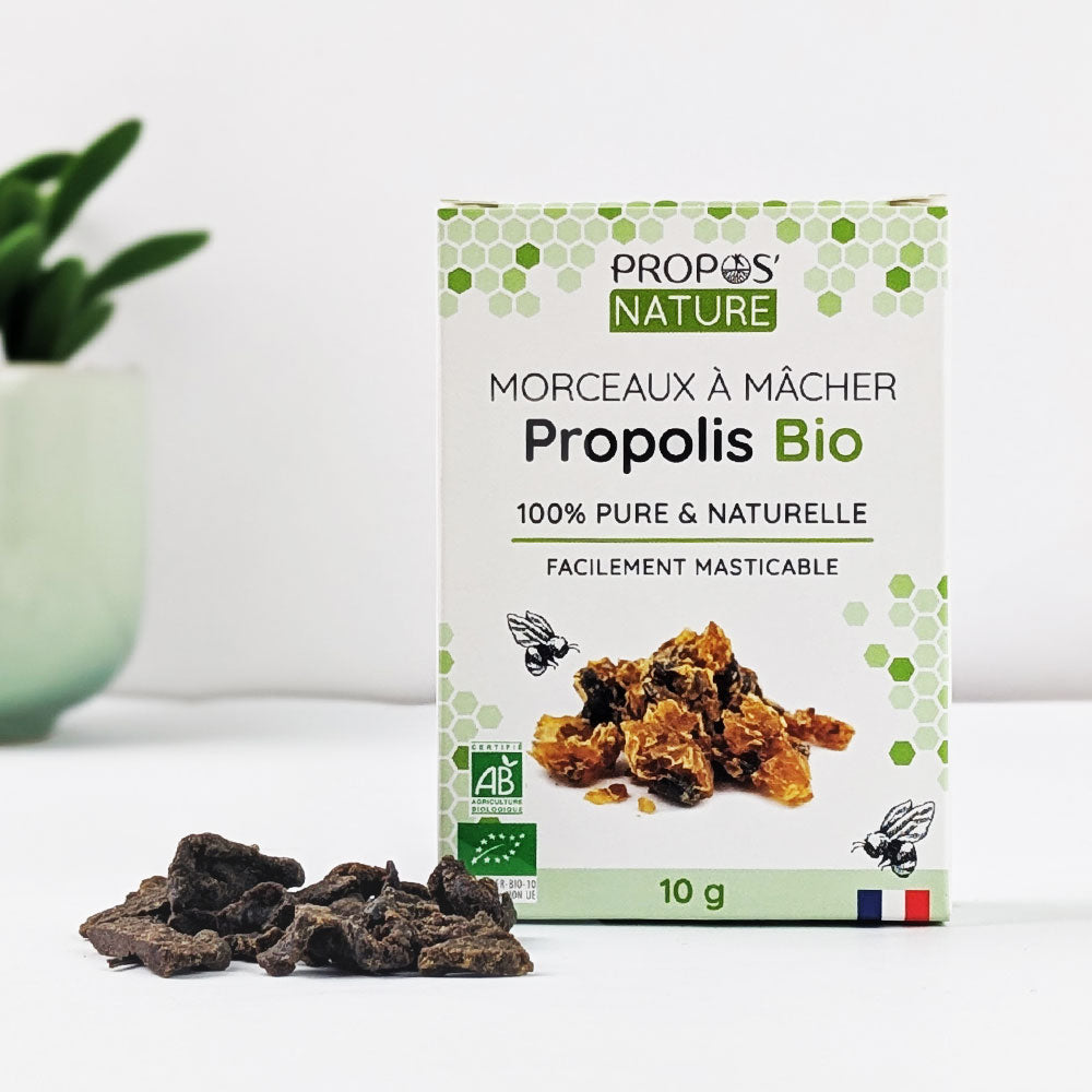 Morceau de Propolis à mâcher Bio