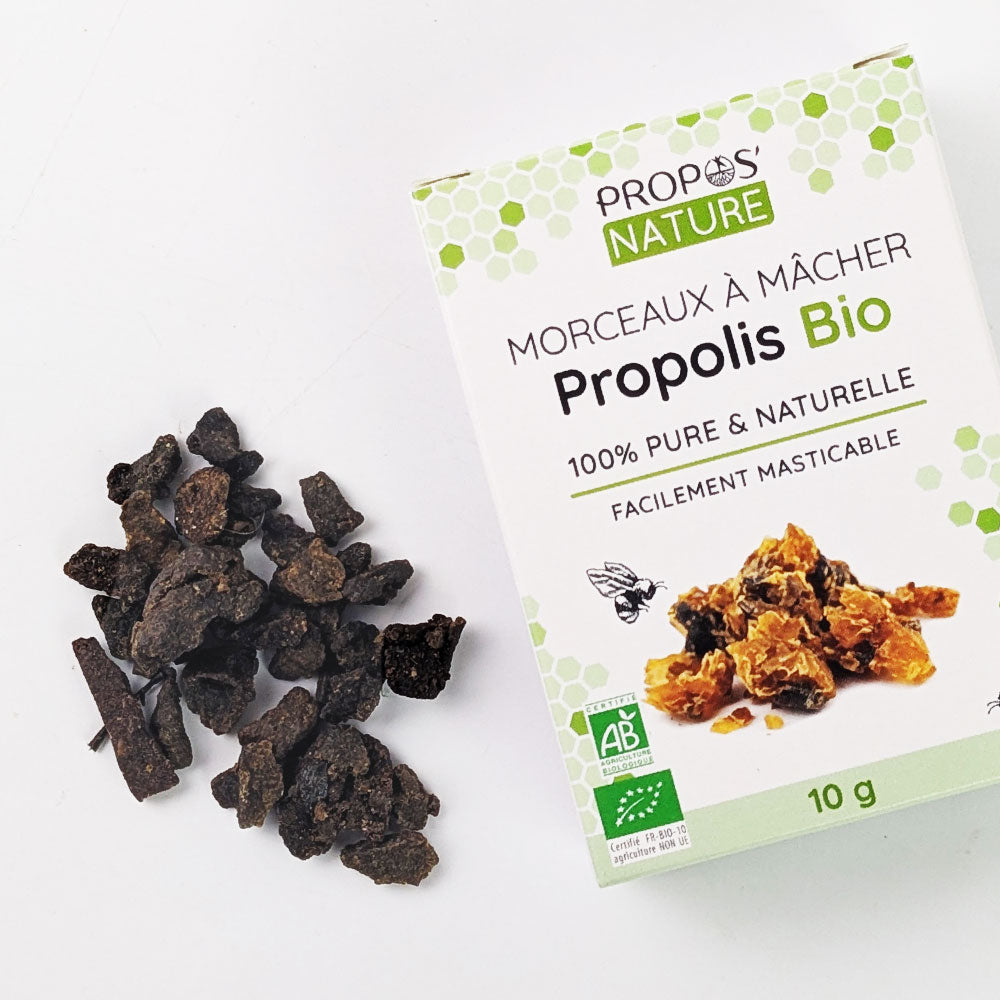Morceau de Propolis à mâcher Bio