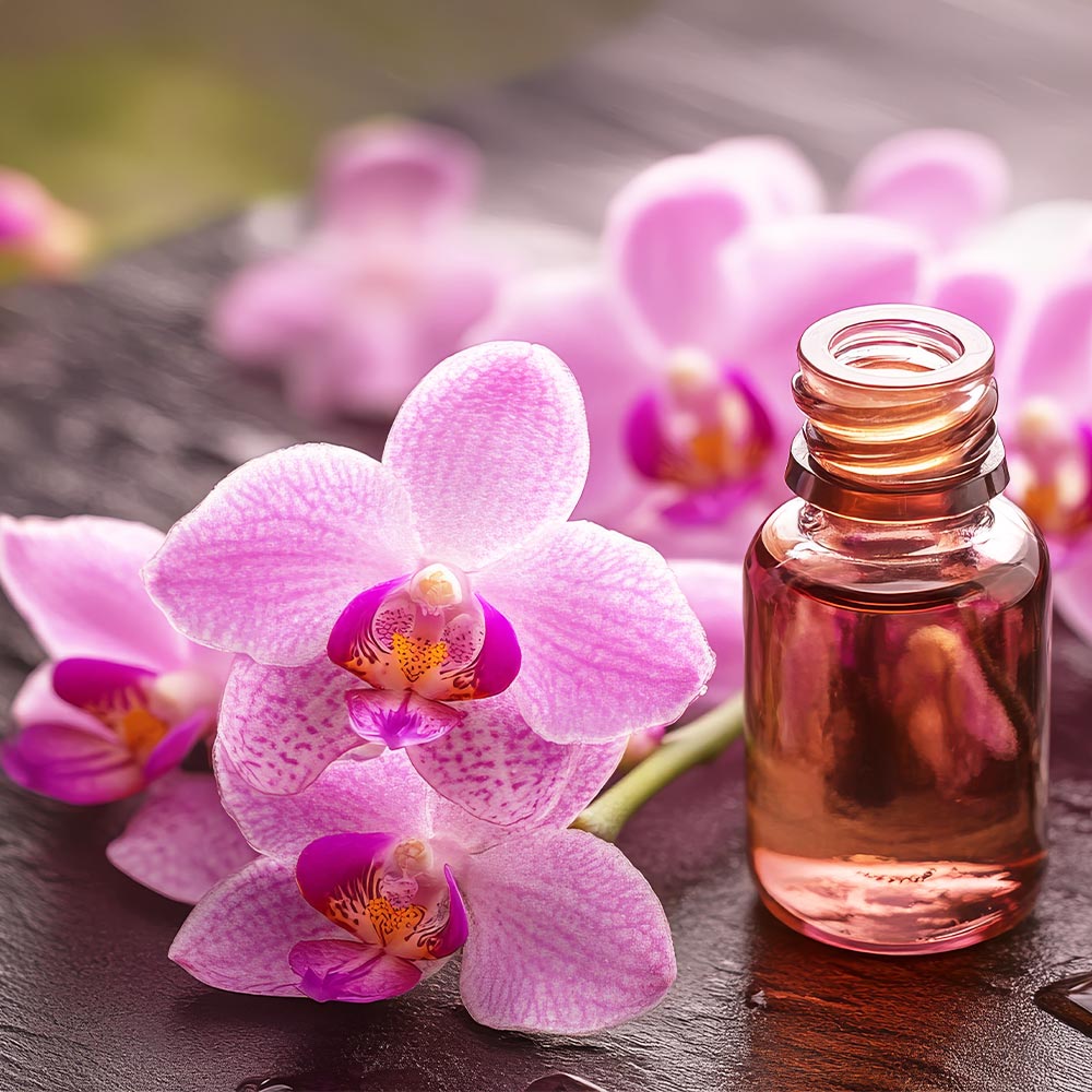 Elixir d'orchidées Bio