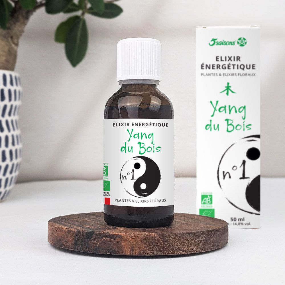 Elixir énergétique Yang du bois
