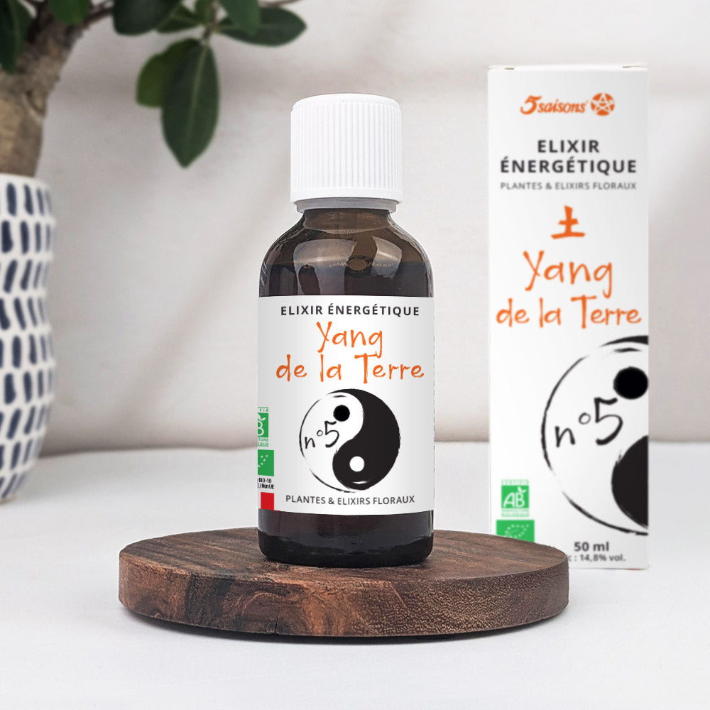 Elixir énergétique Yang de la terre