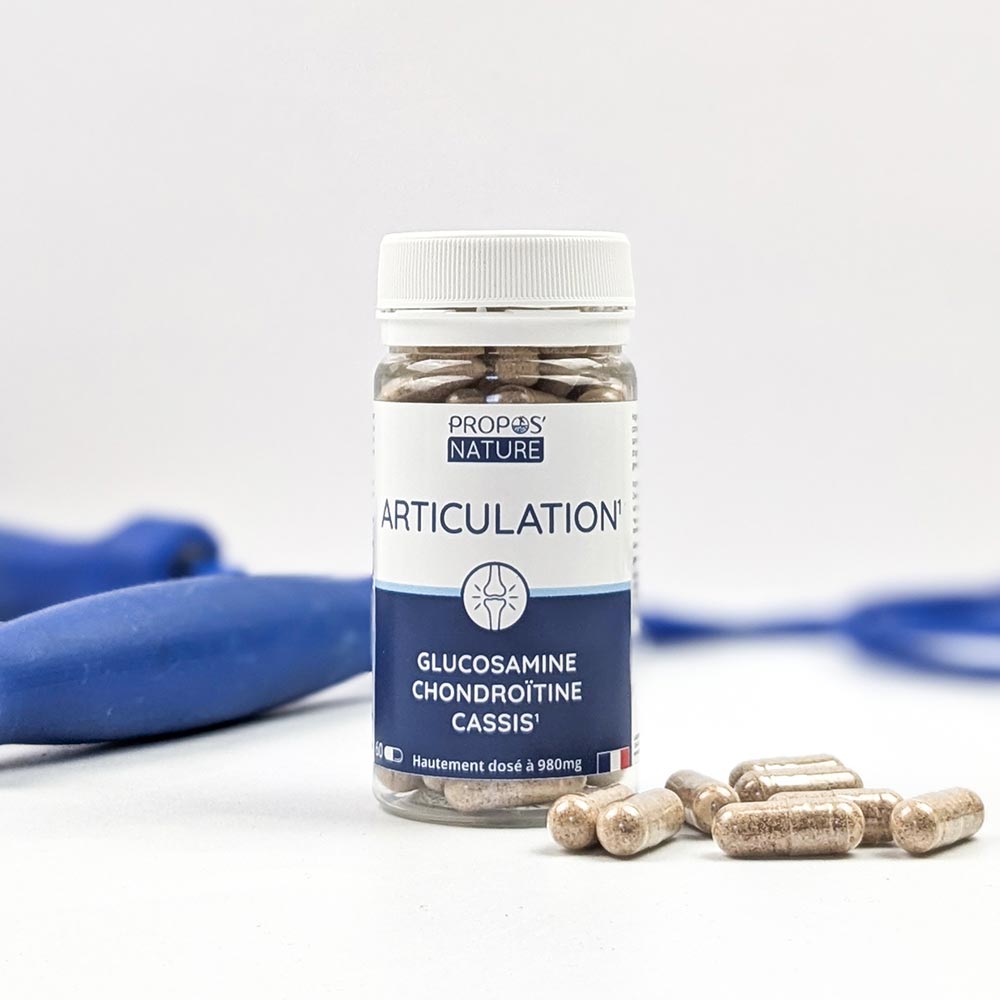 Articulation Glucosamine Chondroïtine