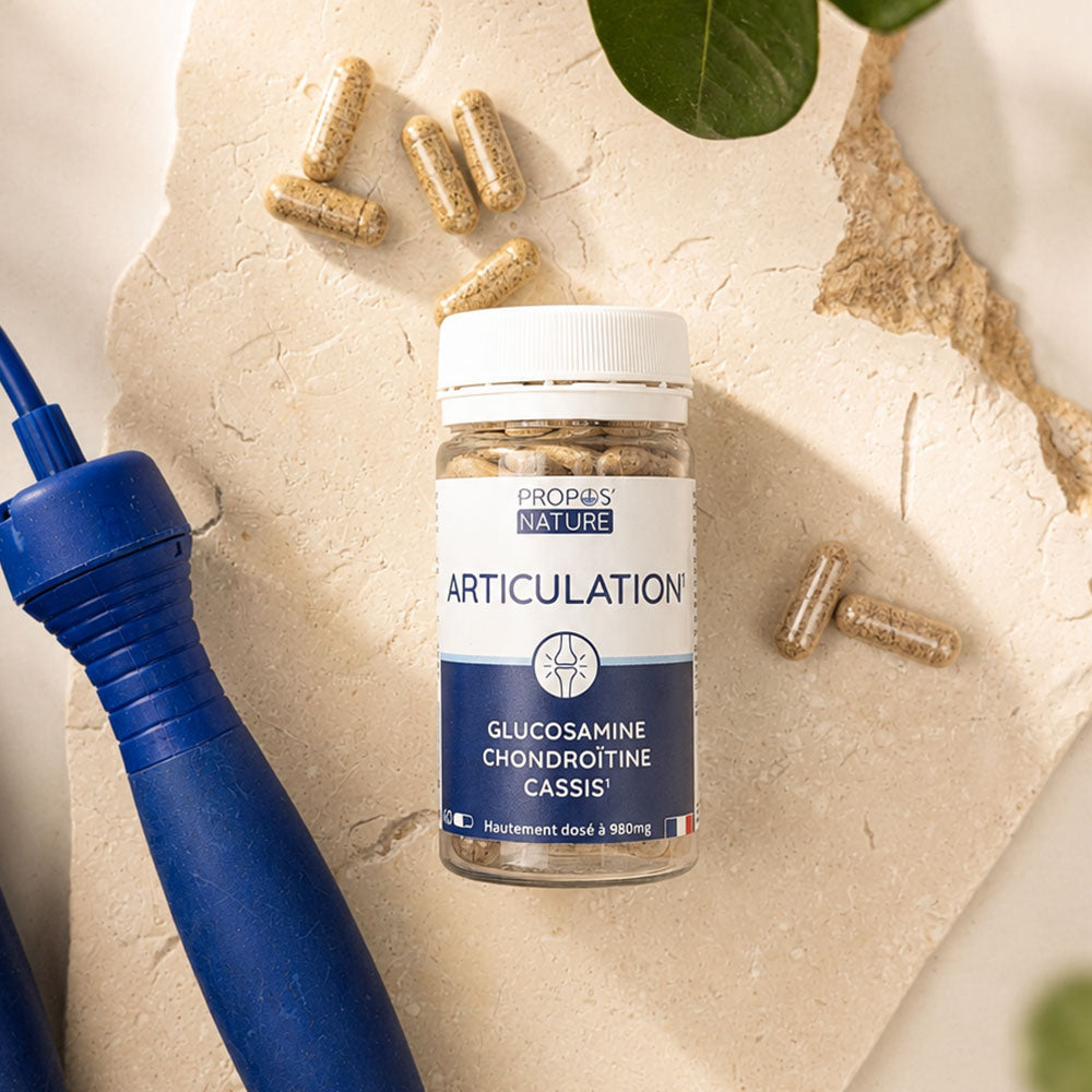 Articulation - Glucosamine Chondroitine Cassis