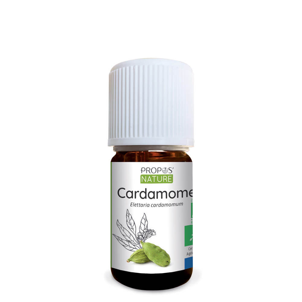 Huile essentielle de Cardamome