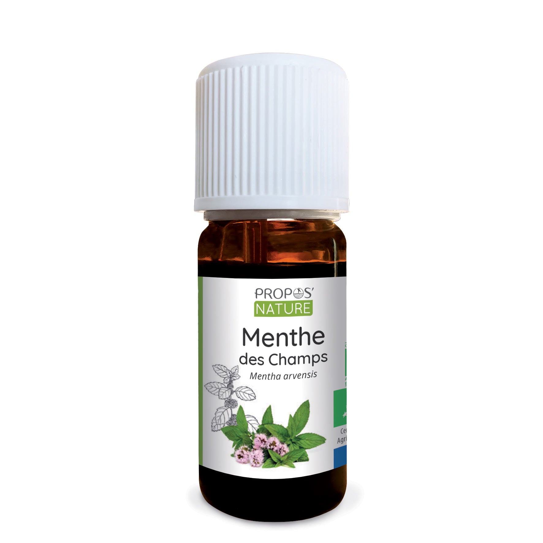 Huile essentielle de Menthe des champs