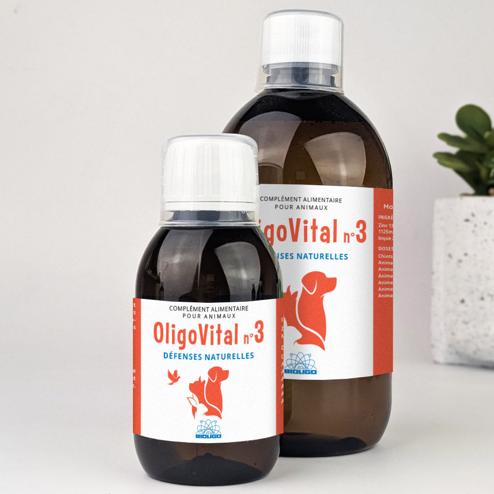 Oligovital complément alimentaire vétérinaire