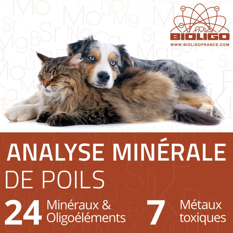 Analyse minérale des poils
