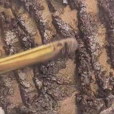Pigment Brun ténébreu