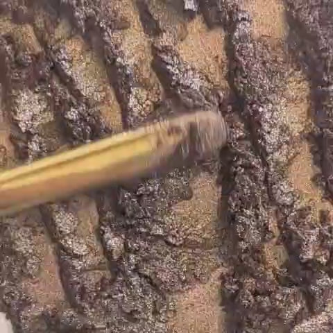 Pigment Brun ténébreu