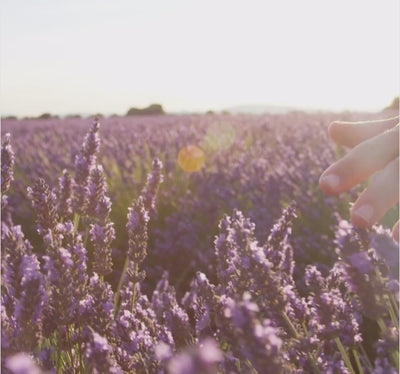 Vidéo Laboratoire Propos'Nature