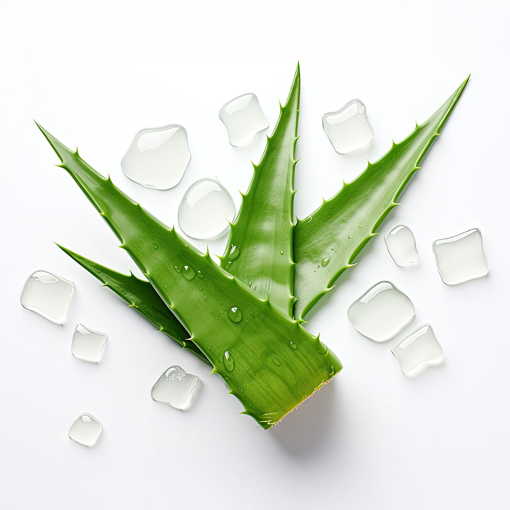 Aloe vera